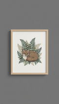 Framed Limited Edition Print — Red Fox in Ferns
